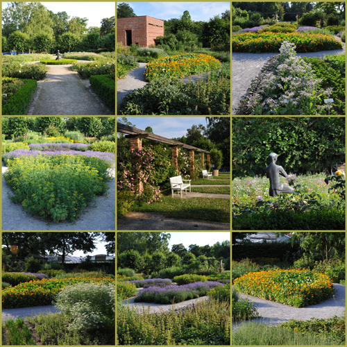 Botanischer Garten Kassel I A Rosadoras Kunstgarten